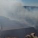 Urgente: Bomberos combaten gran incendio forestal en Ruta 12 pasando Pueblo Edén; hay fincas amenazadas por el fuego