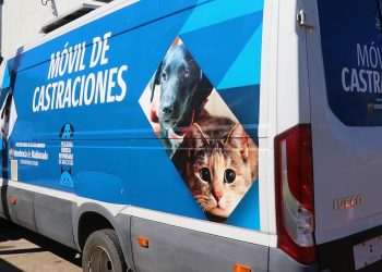 Pan de Azúcar: Inscriben para castraciones del 14 de marzo