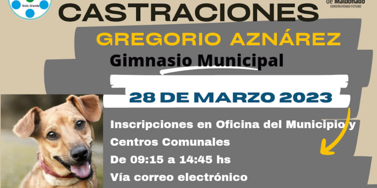 Solís Grande: inscripciones abiertas en municipio y comunales para castraciones