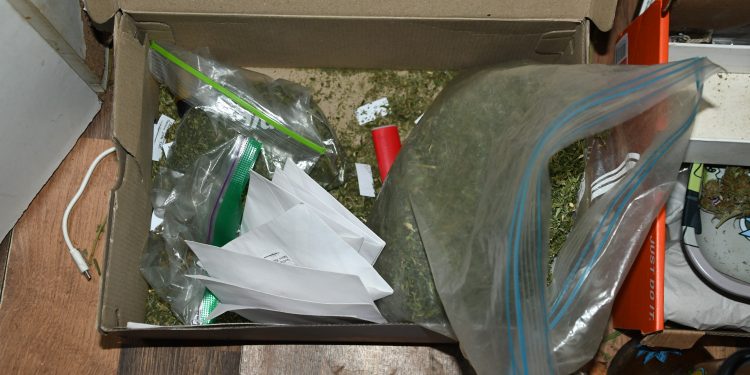 Prisión preventiva para dos sujetos que rapiñaron estación de servicio en Maldonado; buscan a otros dos