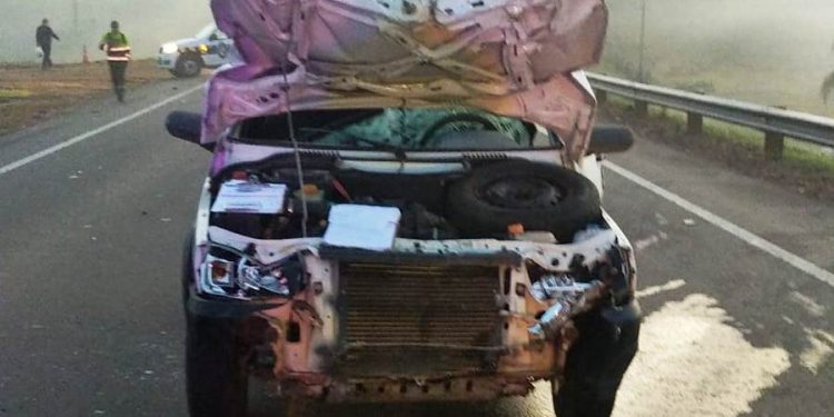 Equino suelto ocasiona siniestro de tránsito en Ruta 5