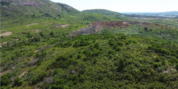 Piriápolis: Bomberos y Aviación Naval dominaron el incendio en Sierras del Tirol que está prácticamente apagado