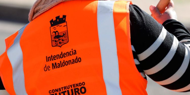 La intendencia de maldonado brinda oportunidad laborar de 9000 puestos de trabajo en terriotorio nacional y 535 son dentro del depártamento de maldonado