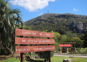 Piriápolis: ECFA permanecerá cerrada al público los días martes; la medida se extiende hasta el 31 de agosto