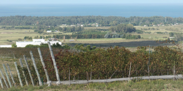 Dos bodegas de Piriápolis podrán ser recorridas por el Día del Patrimonio