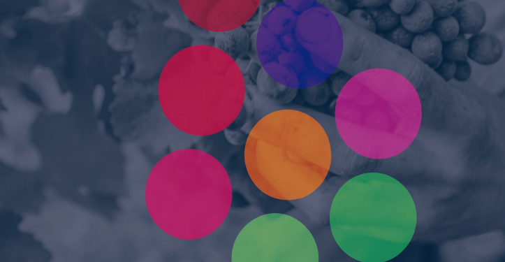 Día del Patrimonio: apertura oficial de actividades en Maldonado será en la Escuela Nº 16 de Pueblo Garzón