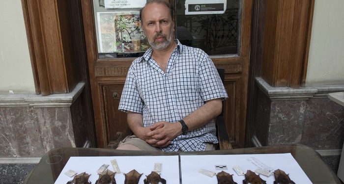 Piriápolis: se inaugura hoy en la ECFA la exposición «Murciélagos: nuestros amigos nocturnos»