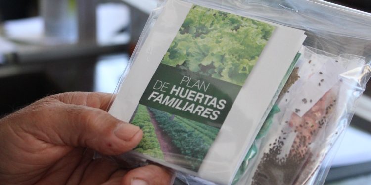 Entrega de semillas otoño-invierno comenzará este martes 25 en todo el departamento