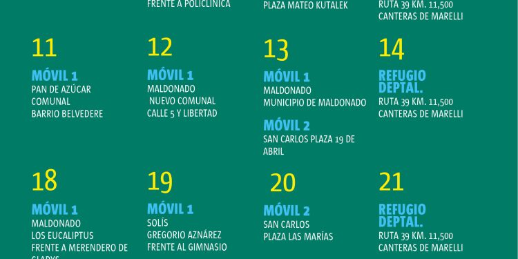 Últimas castraciones de marzo serán en Maldonado y San Carlos