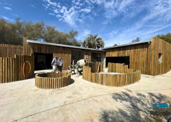 Piriápolis avanza en la construcción de un moderno centro de rehabilitación de fauna marina en Punta Colorada