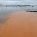 Alerta en Punta del Este: IDM investiga mancha rojiza en aguas del puerto; se exhorta no zambullirse en la zona afectada