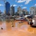 Floración de noctiluca scintillans tiñe de naranja aguas del puerto de Punta del Este