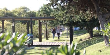 Unos 250 usuarios diarios se benefician con los servicios que brinda Políticas de Juventud en el Parque La Loma