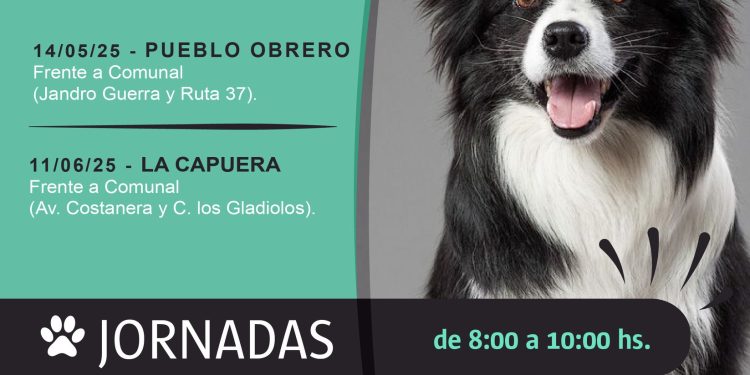 Piriápolis: jornadas gratuitas de castración canina en mayo y junio