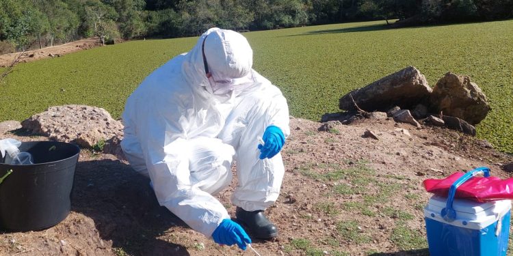 Tomaron muestras de animales residentes en ECFA