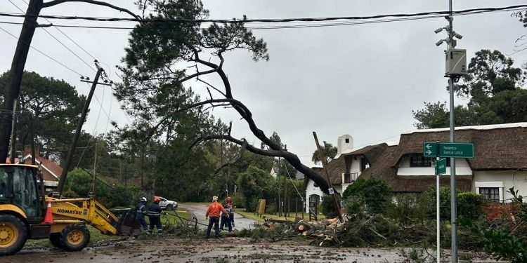Cerca de 30 llamados recibió el 911 consecuencia  del temporal zonas mas afectadas: Piriápolis y Punta del Este