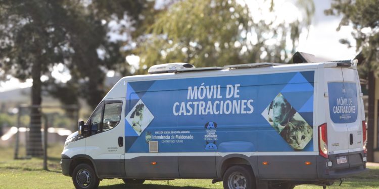 Castraciones gratuitas esta semana en Maldonado y San Carlos; ya están confirmadas las fechas para Piriápolis y Pan de Azúcar