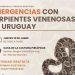 Alternatus dicta taller gratuito sobre emergencias con serpientes venenosas en Piriápolis; inscripciones abiertas