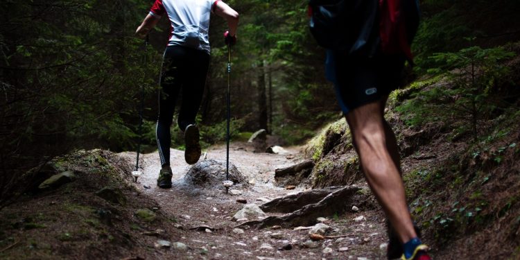 Llega la 7ª edición del Desafío Invierno al Arboretum Lussich