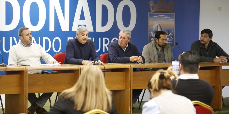 Picudo rojo: fuerte inversión de la IDM, reclamo de fondos nacionales y prohibición del traslado de ejemplares