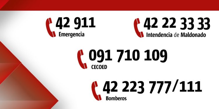 CECOED informa llegada de rachas de viento fuerte asociadas a tormentas