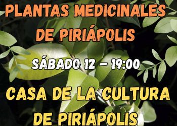 Piriápolis: conferencia para descubrir los secretos de las plantas medicinales locales