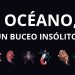 Desde este viernes la Embajada de Francia expondrá “Océano, un buceo insólito” en el Museo San Fernando