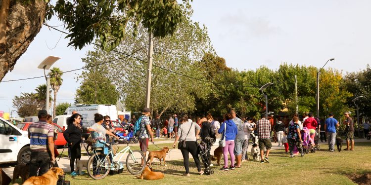 Últimas castraciones de setiembre serán en Maldonado Nuevo