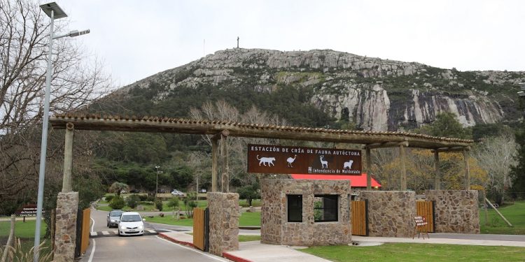 Comenzó la temporada alta de visitas a la ECFA