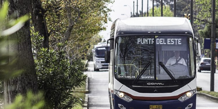 Punta del Este: habrá cambios en el recorrido del transporte colectivo por el Gran Premio de Karting 2025
