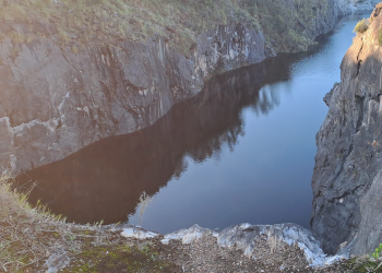 Proponen celebrar el centenario del Palacio Legislativo con espectáculo de ópera en Nueva Carrara