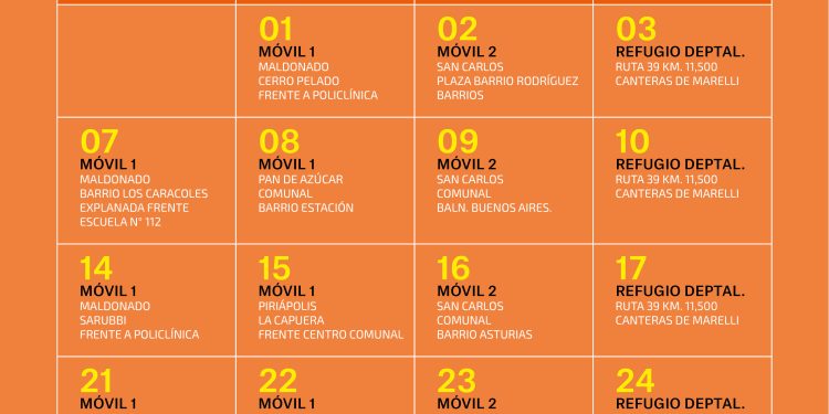 Esta semana habrá castraciones caninas en Maldonado, Pan de Azúcar y Balneario Buenos Aires