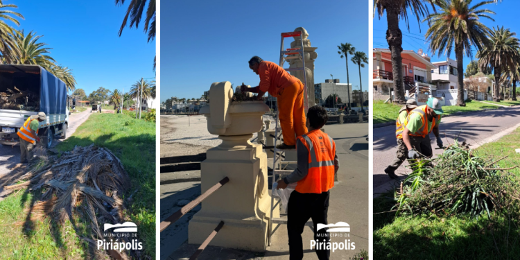 Continúan las tareas de mantenimiento urbano y levantamiento de podas en Piriápolis