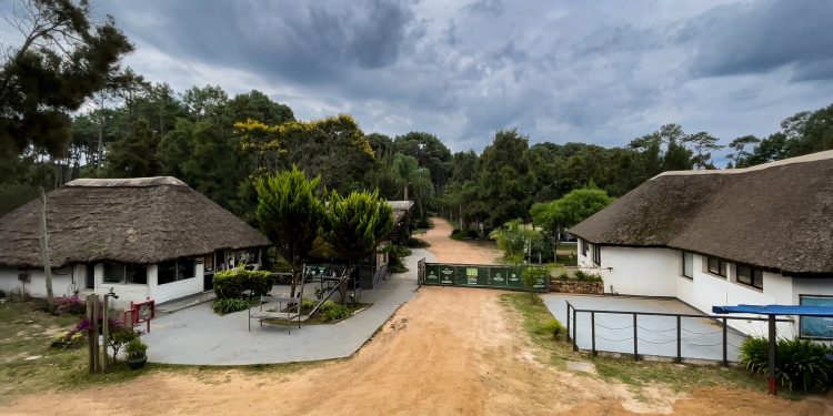 Día del Patrimonio en Piriápolis: propuestas culturales, lúdicas y arqueológicas en el Parque Vacacional de AEBU