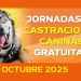 Habrá castraciones caninas en Maldonado, Pan de Azúcar y Balneario Buenos Aires la próxima semana