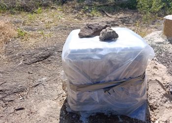 Maldonado refuerza el monitoreo sísmico conla instalación de un nuevo sismógrafo en la ECFA