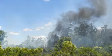 Campaña promueve concientización sobre prevención de incendios forestales
