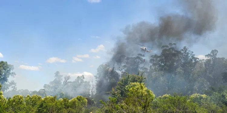 Campaña promueve concientización sobre prevención de incendios forestales