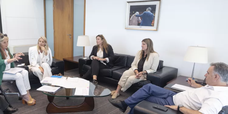 Presidente Orsi recibió a representantes de organizaciones vinculadas a la mejora de la accesibilidad e inclusión