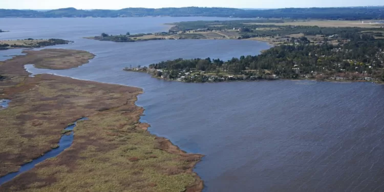 Autoridades emiten recomendaciones ante presencia de cianobacterias en Laguna del Sauce