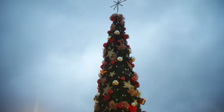 Prosiguen las instancias del encendido de los árboles navideños en los municipios