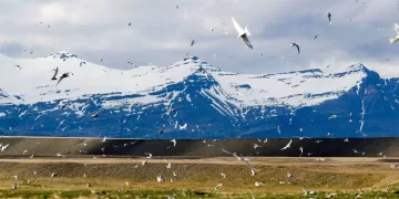 El Ártico se acerca a un punto crítico: deshielo récord, ríos “oxidados” y una tundra que verdea