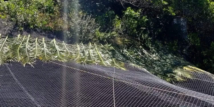 ECFA refuerza el bienestar animal con acciones de enriquecimiento ambiental de cara al verano