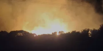 Ahora: Bomberos combaten incendio forestal en Sauce de Portezuelo