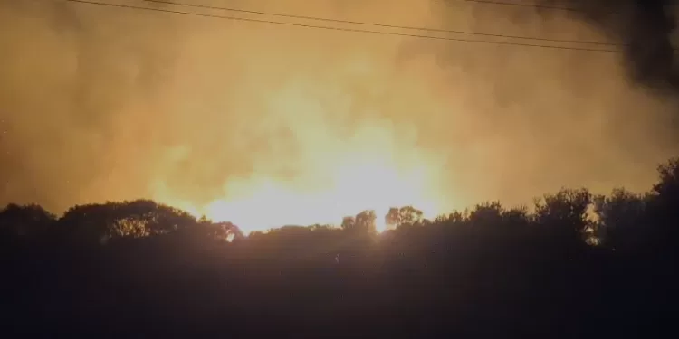 Ahora: Bomberos combaten incendio forestal en Sauce de Portezuelo
