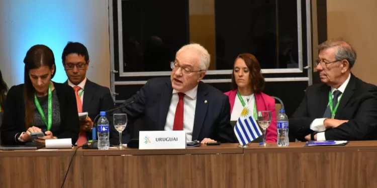 Lubetkin lamentó la falta de consenso en la Unión Europea y expresó su «desilusión» por la firma postergada