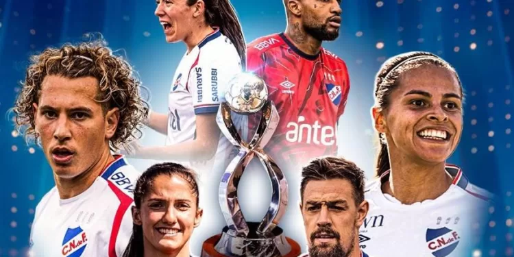 Borrador automático