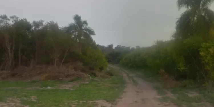 Vecinos de Sauce de Portezuelo denuncian usurpaciones de terrenos y reclaman respuestas de las autoridades