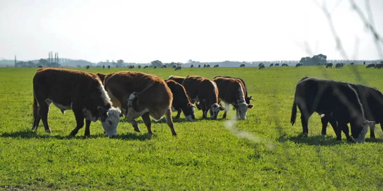 Uruguay y Brasil crearon unidad mixta de investigación agropecuaria