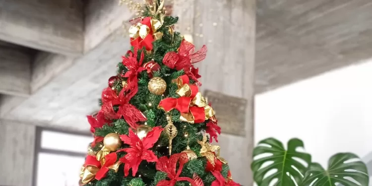 IDM y sus dependencias contarán con horario especial durante los días miércoles 24 y 31 de diciembre